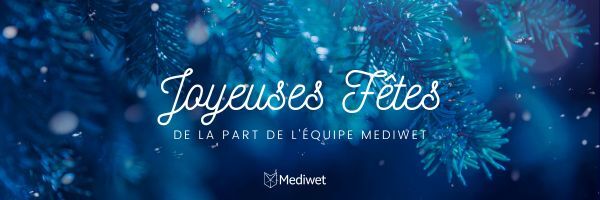 Joyeuses fêtes!