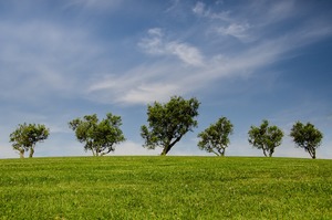 Nieuwsbrief in de zomermaanden